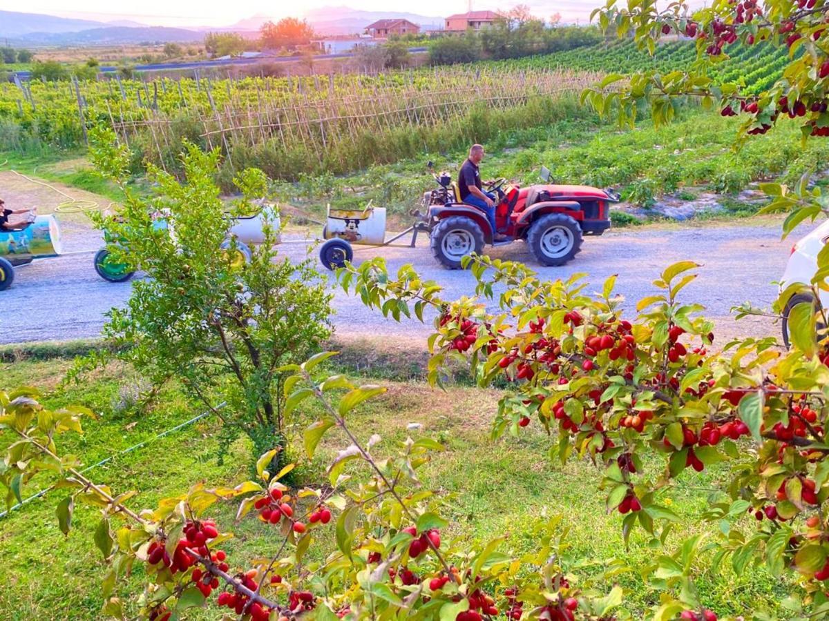 ホテル Mrizi I Zanave Agroturizem Lezhë エクステリア 写真